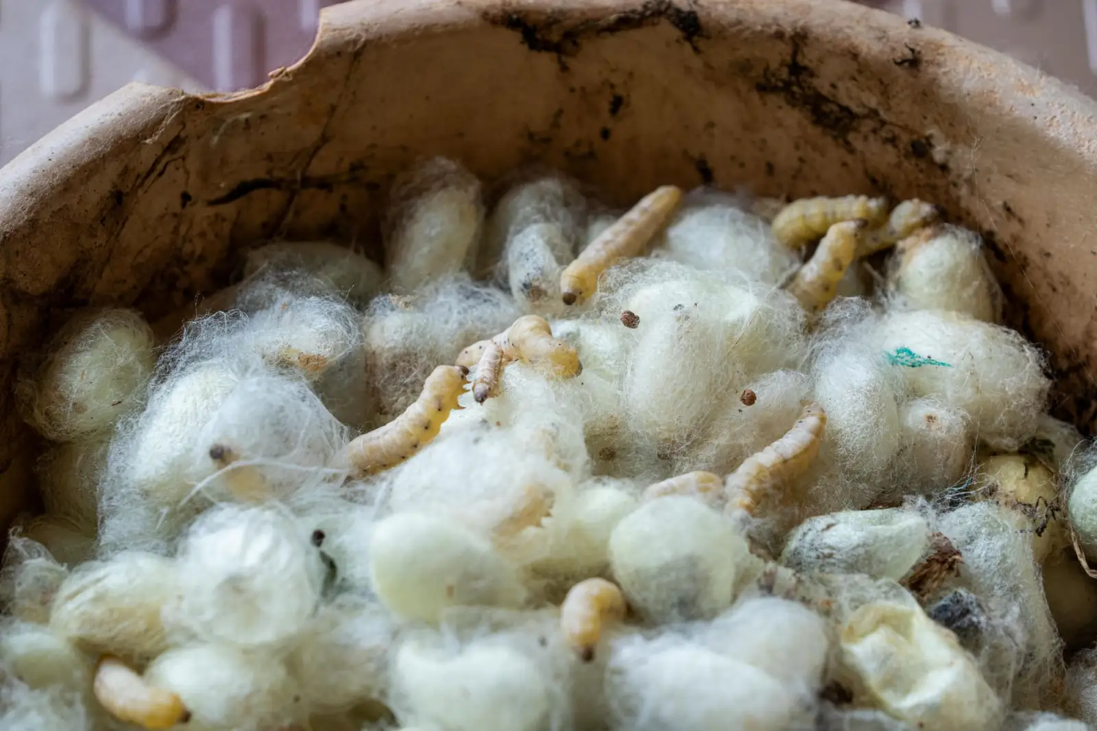 思远仓储扫码系统在出入库管理中的效率提升方案